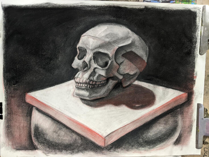 yorick (big naturals) (2022) charcoal and red pastel on paper